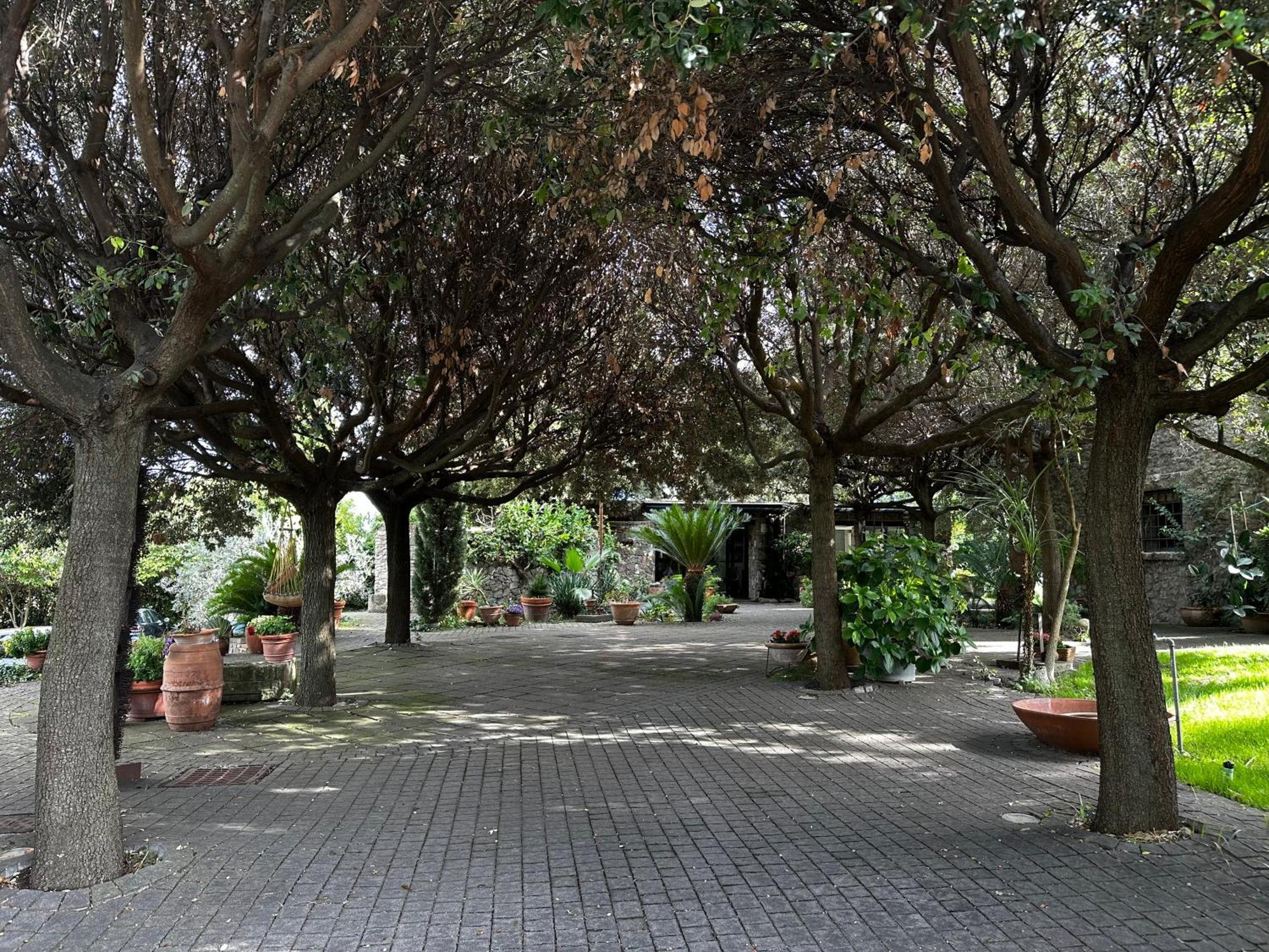 Borgo De' Paolis Daire Grottaferrata Dış mekan fotoğraf
